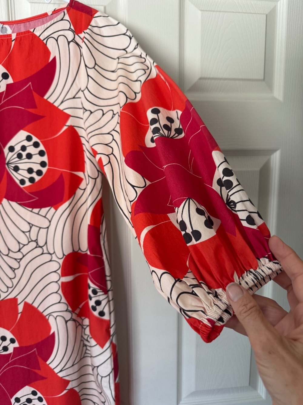 NWT, FRANCES VALENTINE, MINNOW DRESS IN DARLING JAPANESE POPPY PRINT - Picture 12 of 16